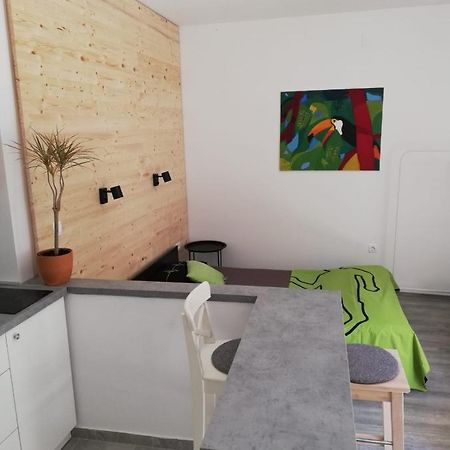 萨莫博尔Studio Apartman Fleiss公寓 外观 照片