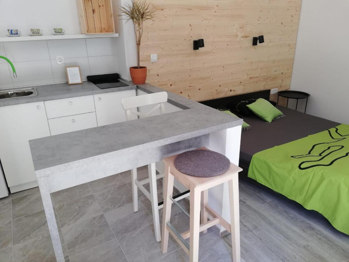 萨莫博尔Studio Apartman Fleiss公寓 外观 照片