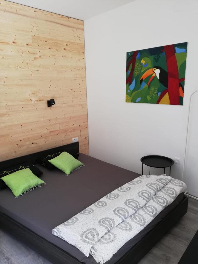 萨莫博尔Studio Apartman Fleiss公寓 外观 照片