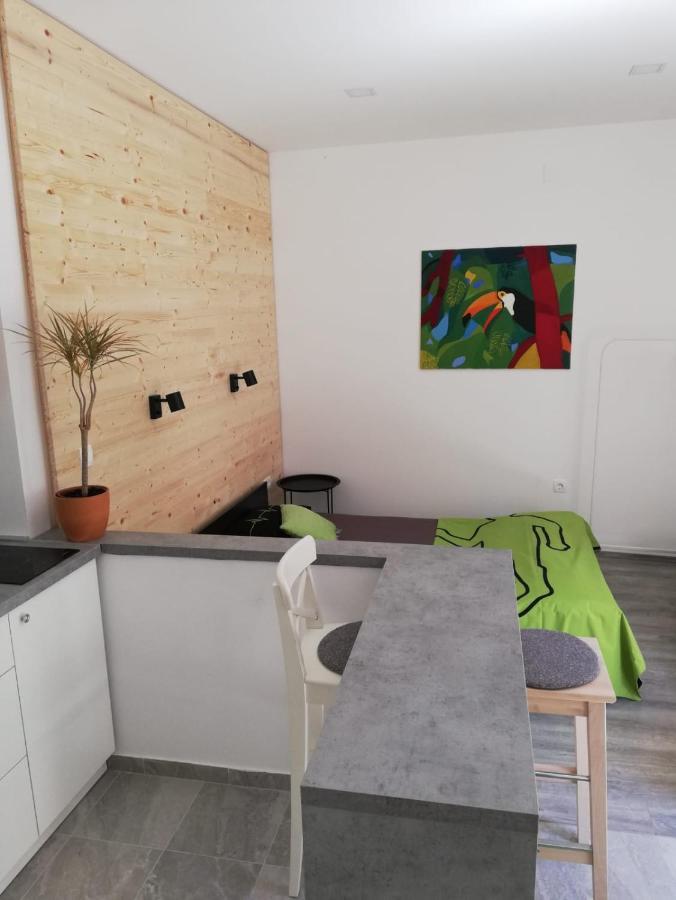 萨莫博尔Studio Apartman Fleiss公寓 外观 照片
