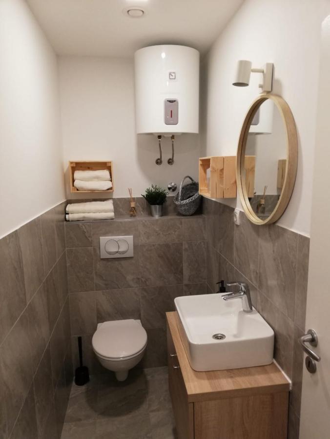 萨莫博尔Studio Apartman Fleiss公寓 外观 照片