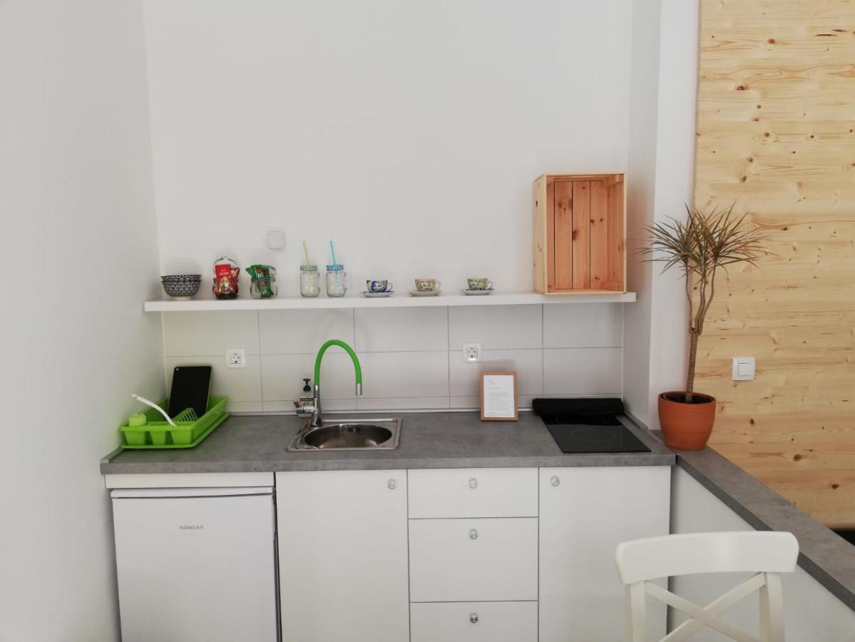 萨莫博尔Studio Apartman Fleiss公寓 外观 照片
